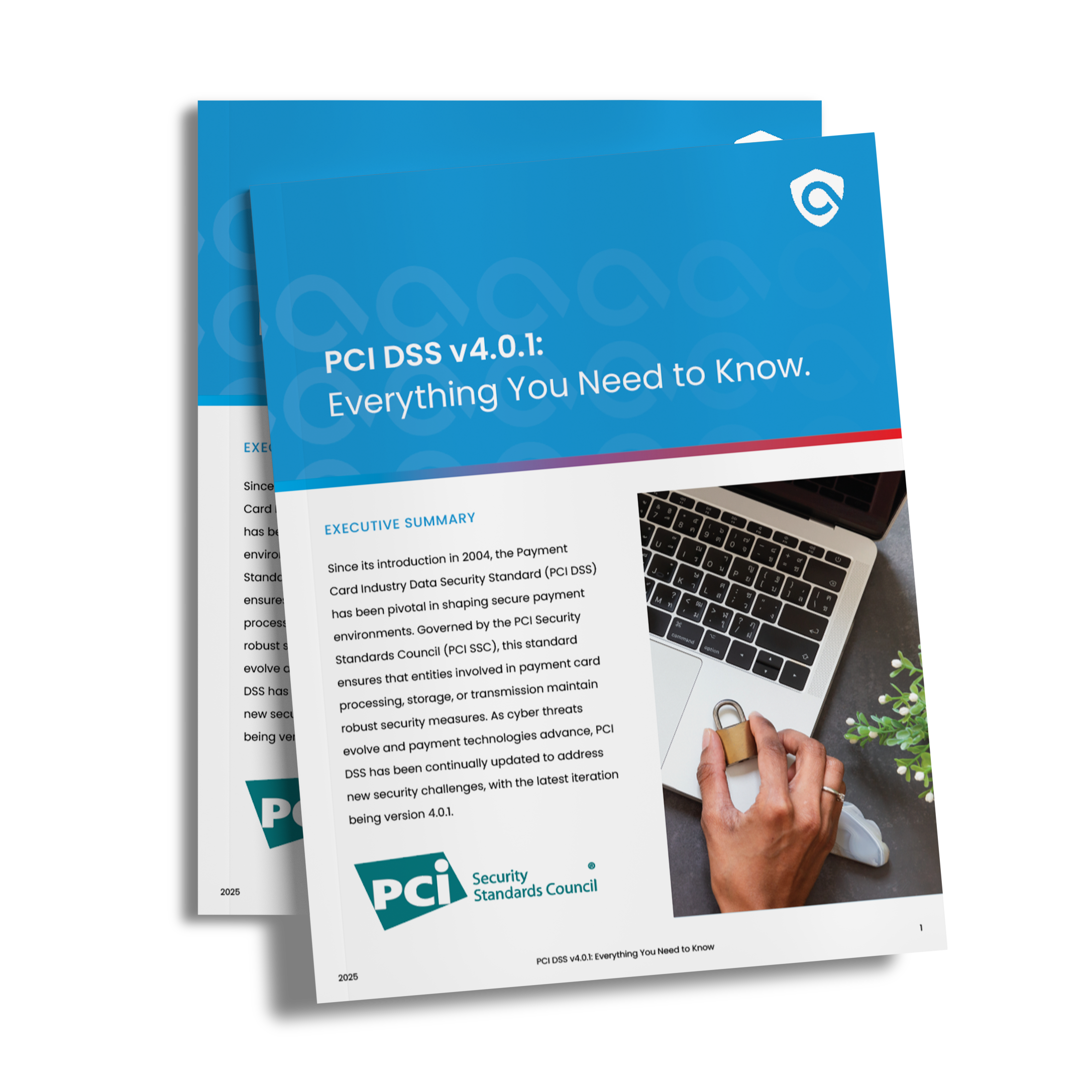 PCI DSS Coverpage mockup